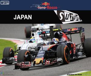 yapboz Carlos Sainz Jr., 2016 Japonya Grand Prix